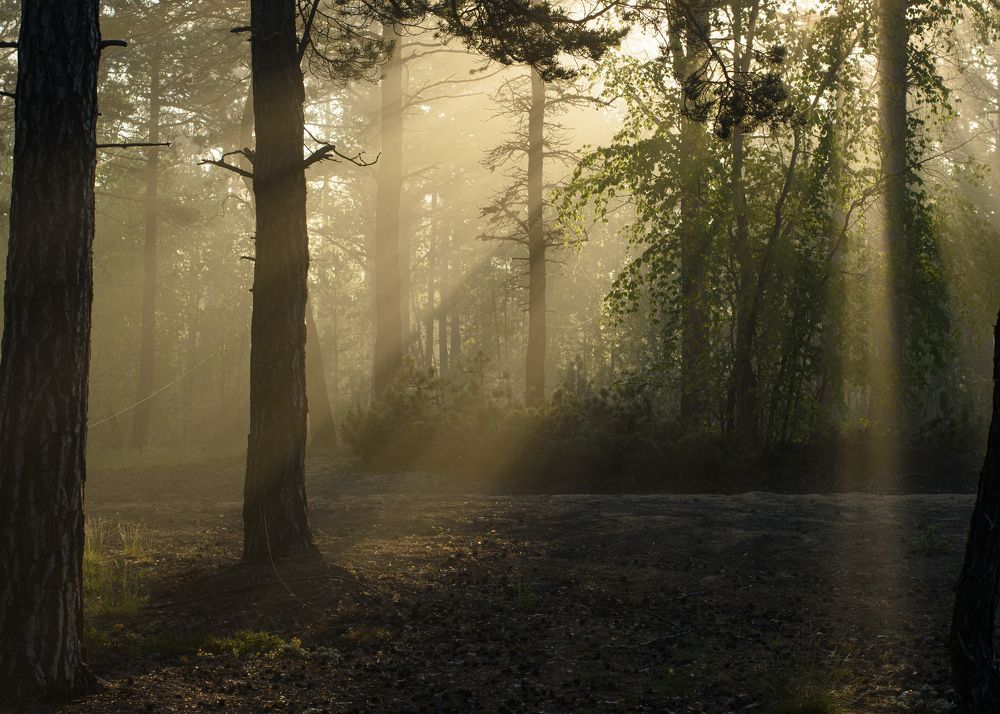 Photograph by Ольга Сидорова