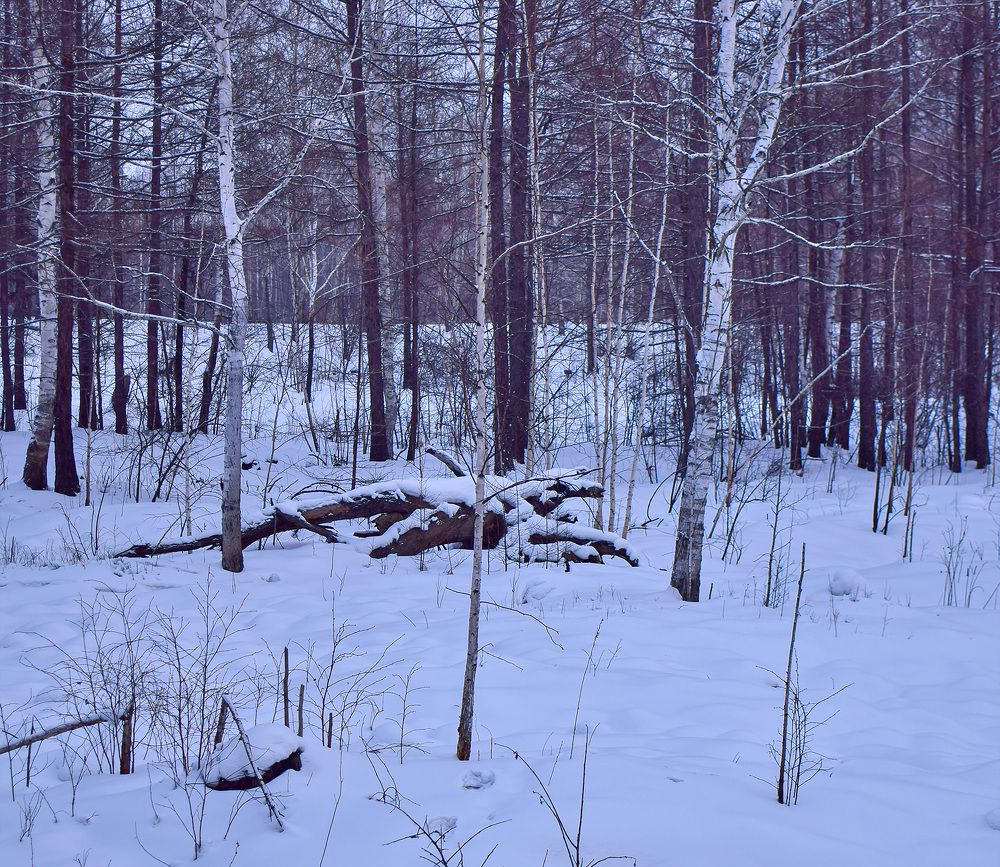 Photograph by Ольга Блохина