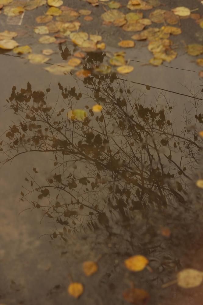 Photograph by Евгения Уманец