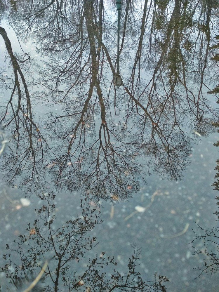 Photograph by Евгения Уманец