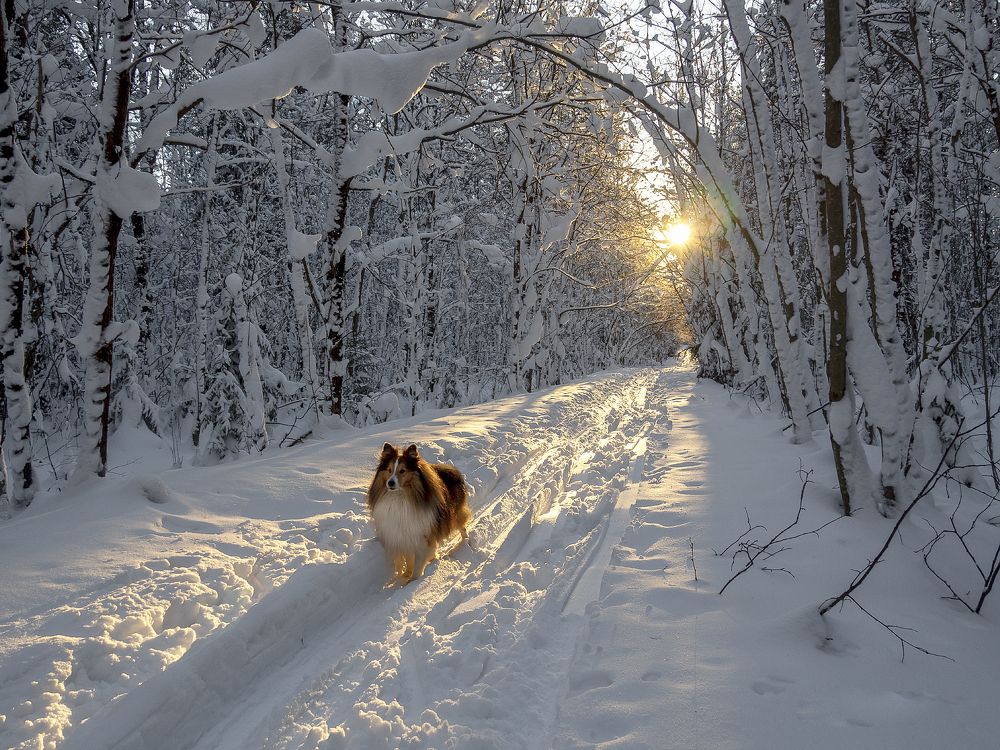 Photograph by Ольга Якшина