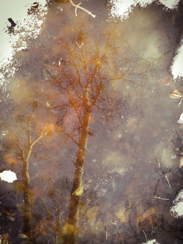 Photograph by Виктор Сёмушкин