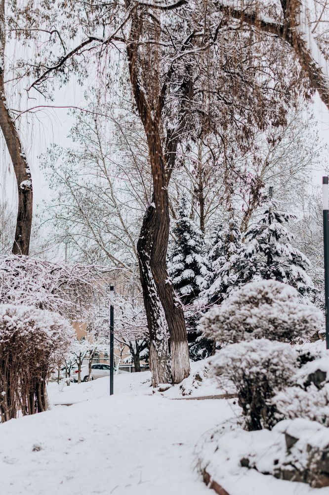 Photograph by Анна Котлярова