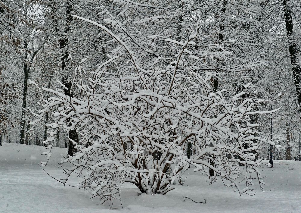 Photograph by Igor Ryzhov