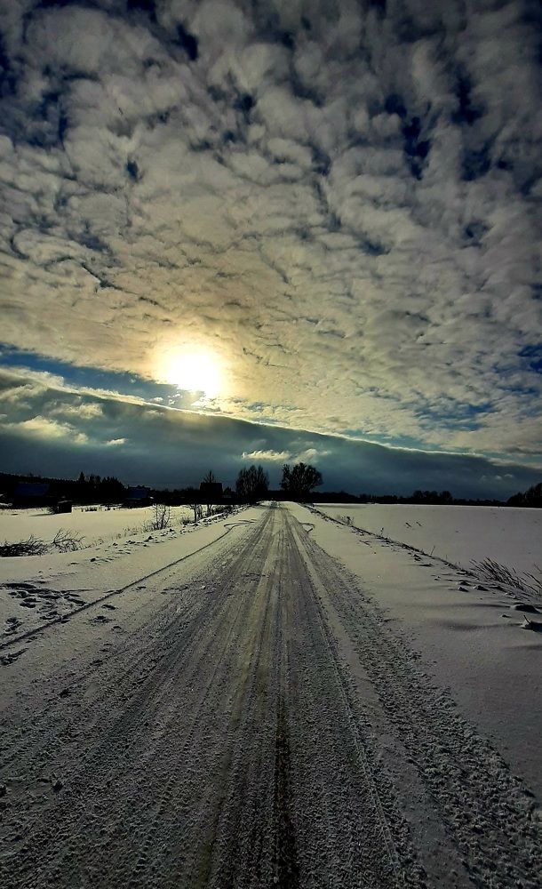 Фотография автора Моисеева Ольга