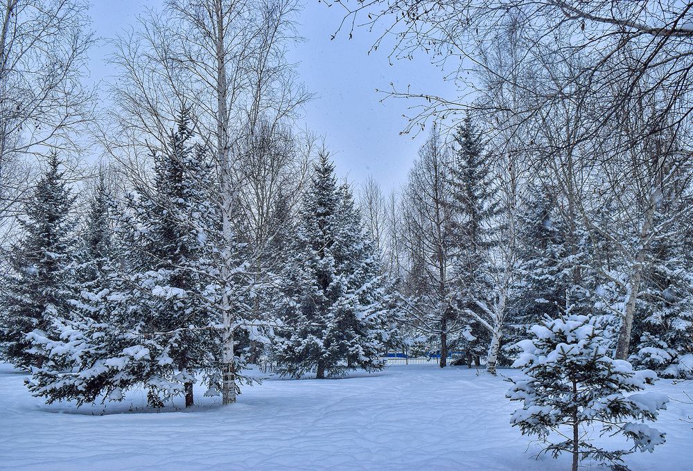 Photograph by Ольга Блохина