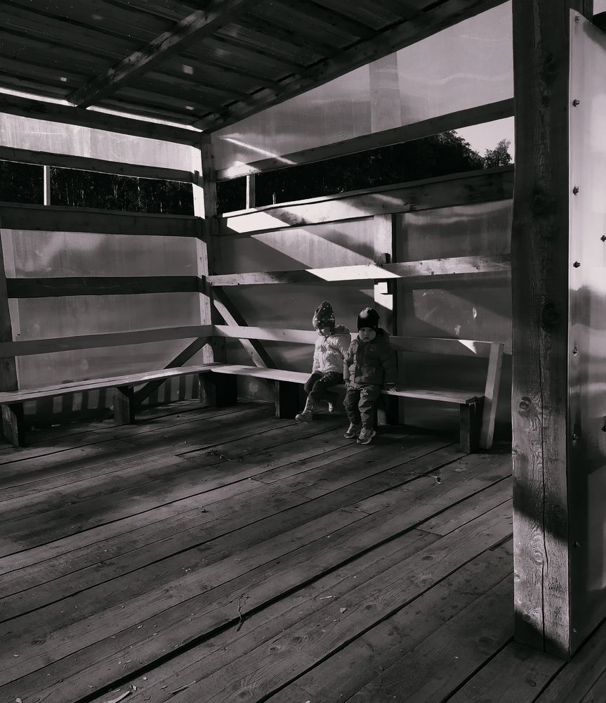 Фотография автора Алена