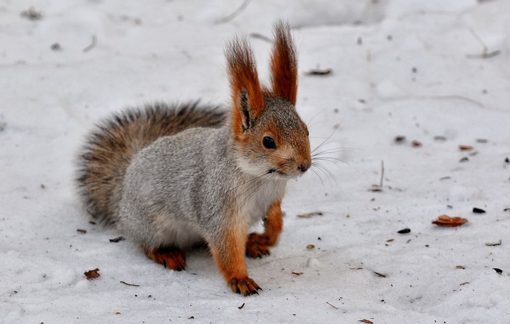 Photograph by Римма Большакова