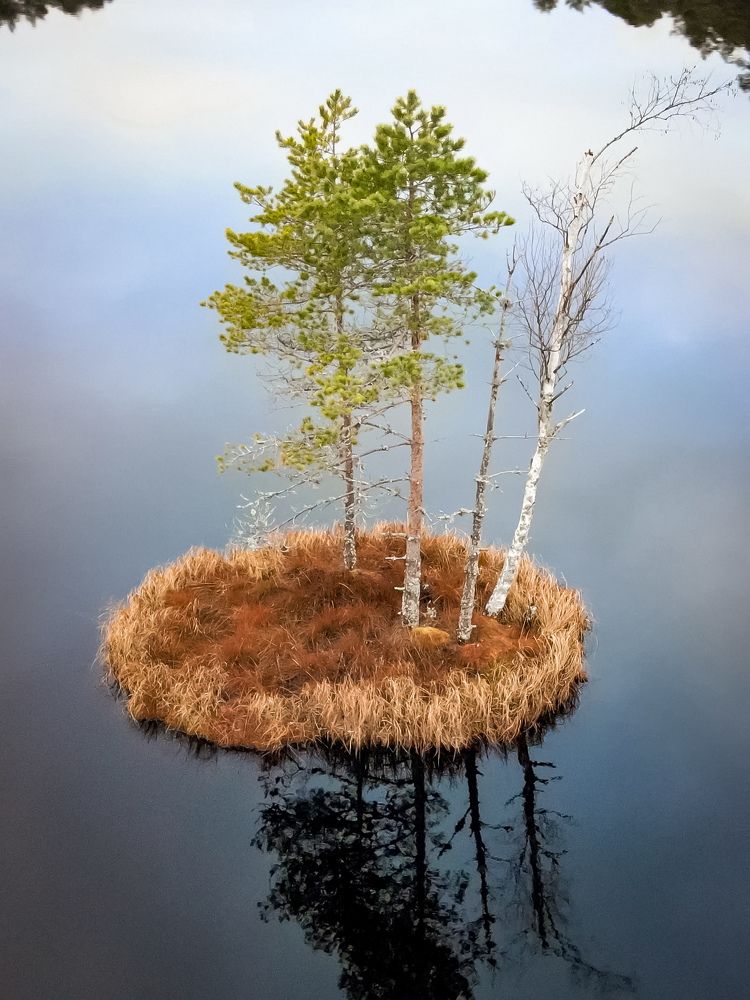 Фотография автора Алексан Арт