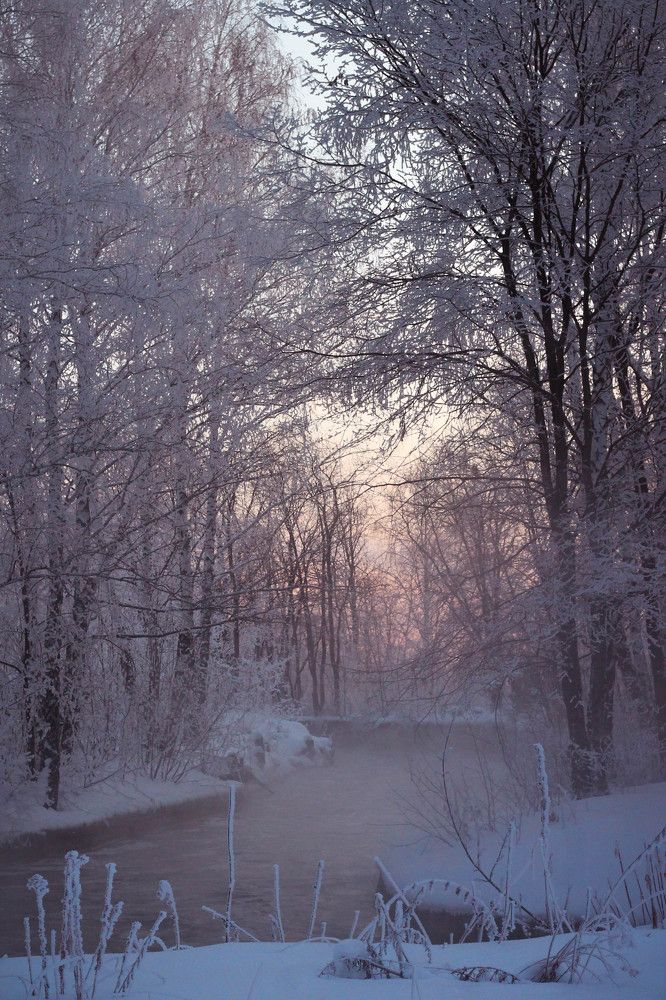Photograph by Татьяна Гатиятуллина