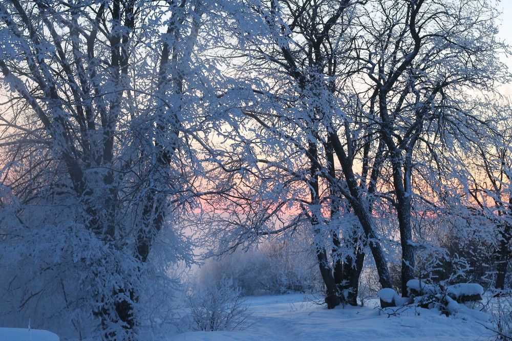Photograph by Татьяна Гатиятуллина