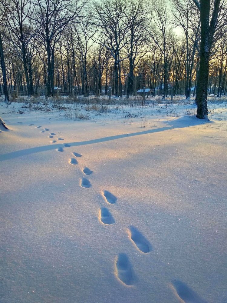 Photograph by Евгения Уманец