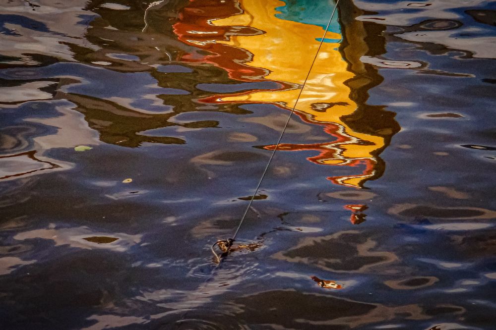 Photograph by Tavip Tavip Budiono Hadisoeprapto