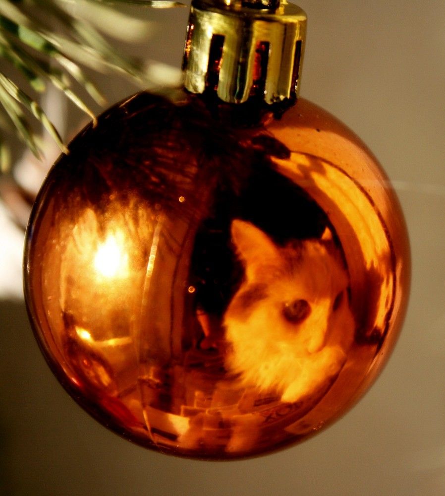 Photograph by Кунц