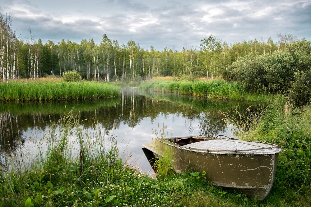 Летний вечер