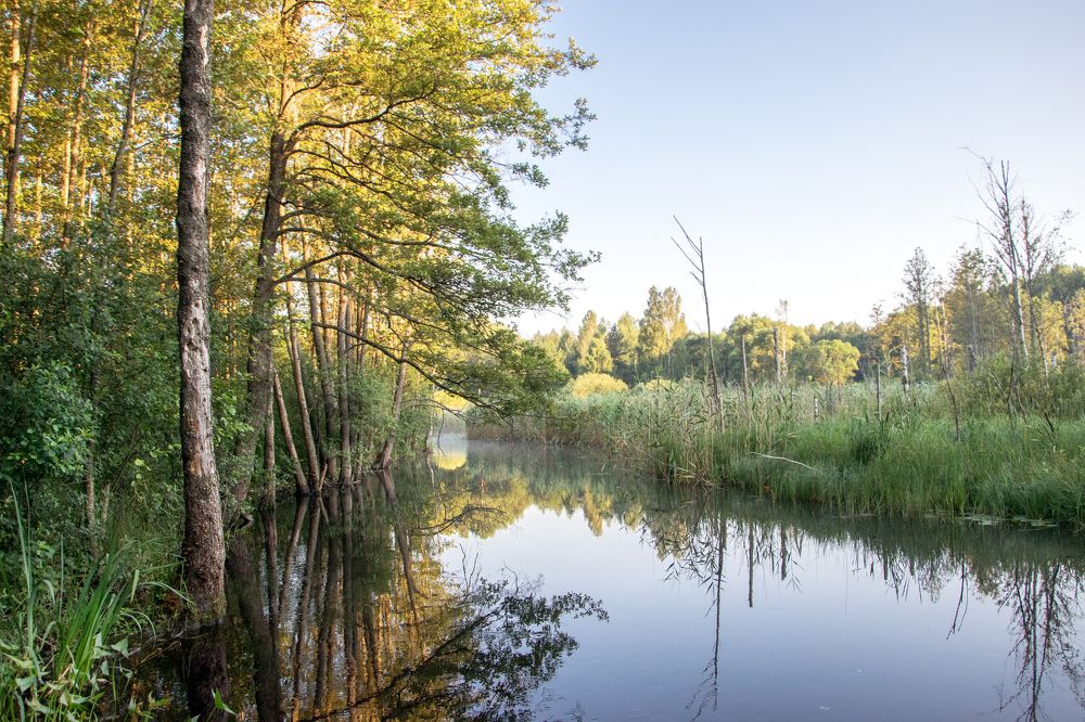Начало летнего дня