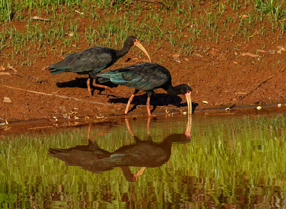 Photograph by Valdir Hobus