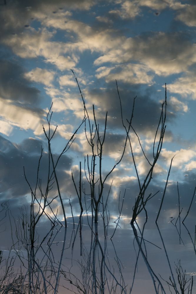 Photograph by Дмитрий Сумин