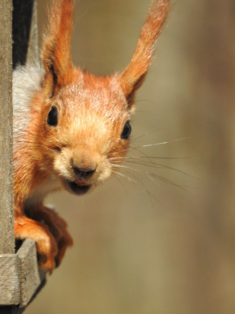 Photograph by Римма Большакова