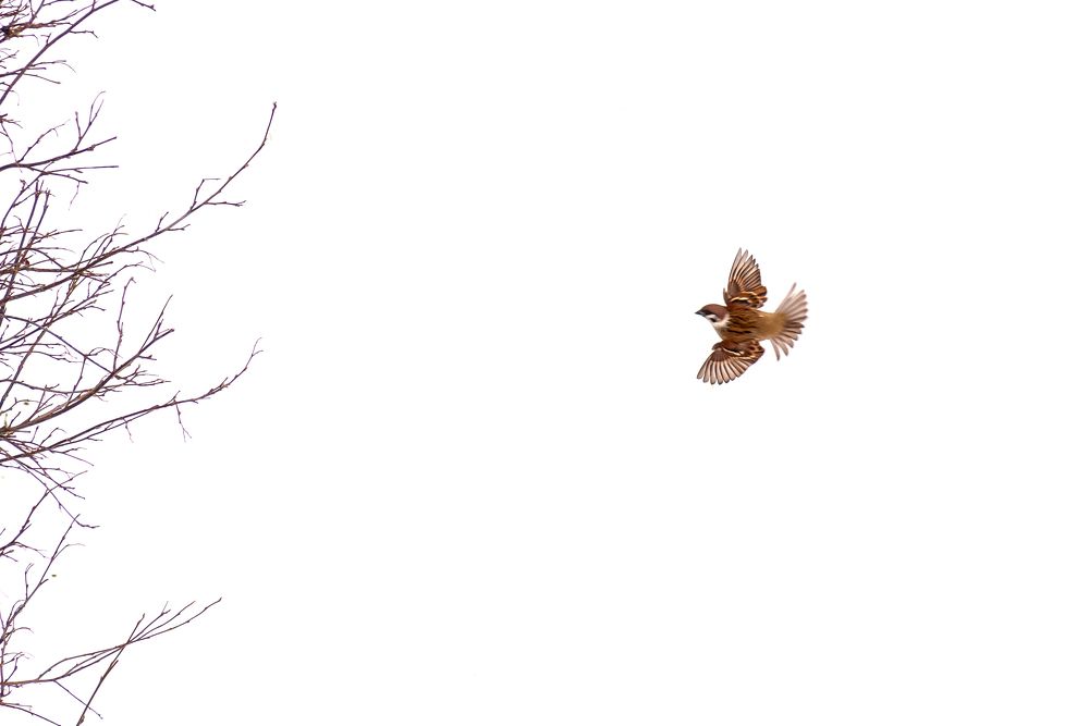 Photograph by Евгений Манаев