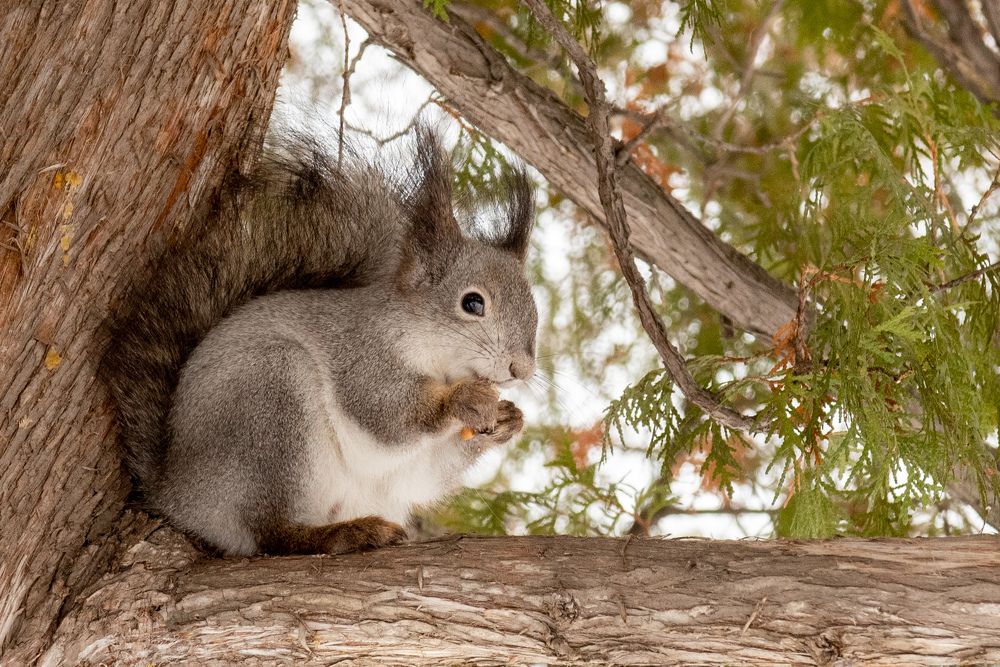 Photograph by Евгений Манаев