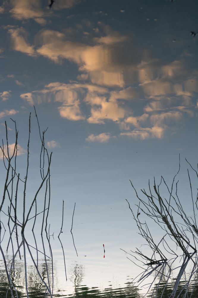 Photograph by Дмитрий Сумин