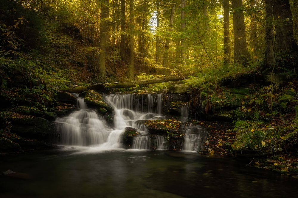 Photograph by Tom Kráčmar