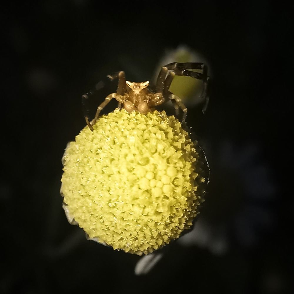 Photograph by Оксана Маракушина