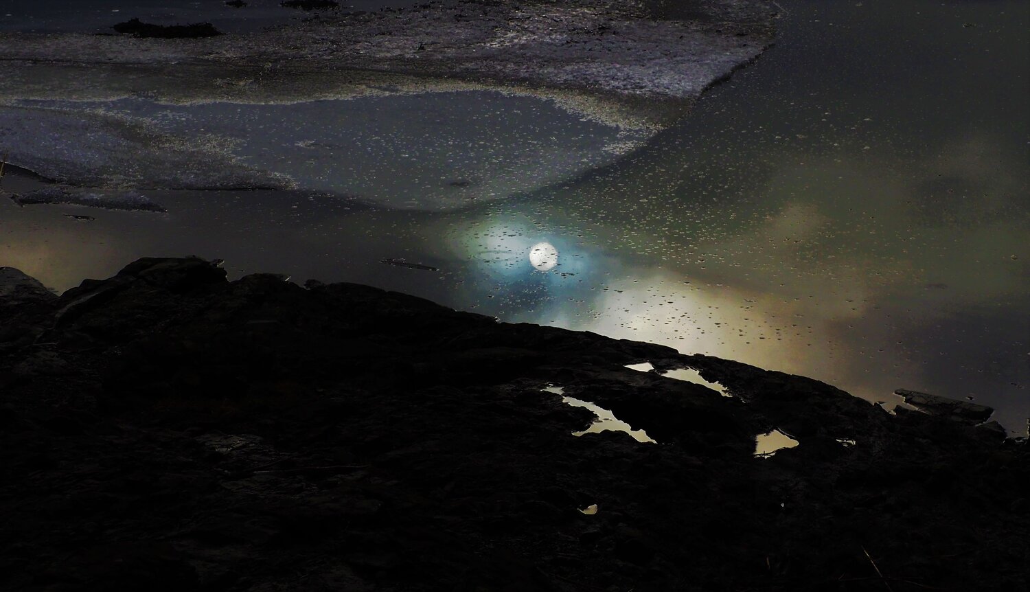 Photo #7063966