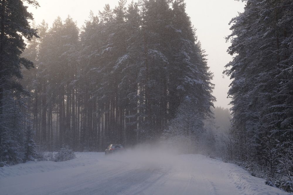 Photograph by NATALYA TOLSTOVA