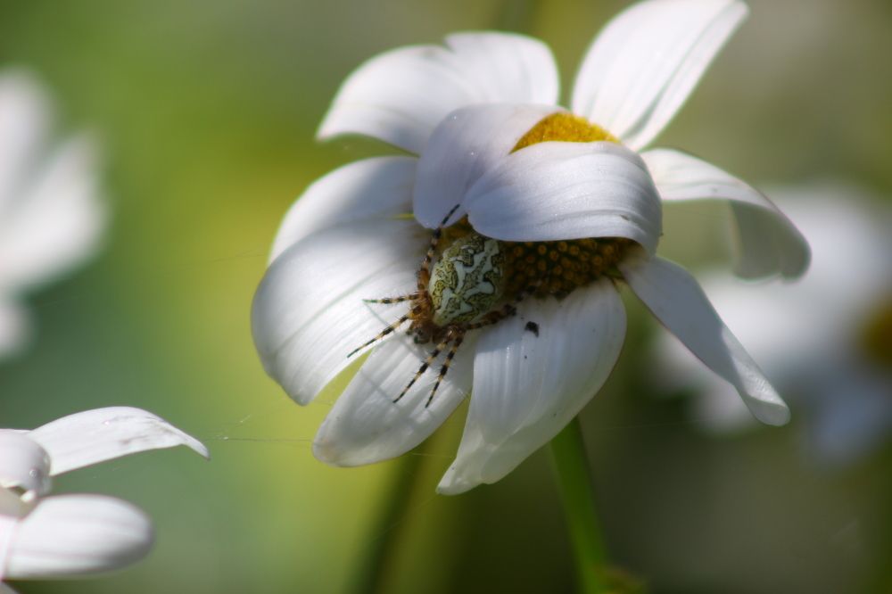 Photograph by Наталья