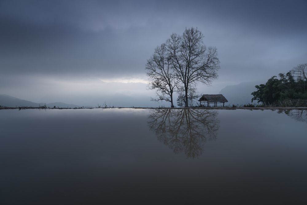 Photograph by Dung Ngo