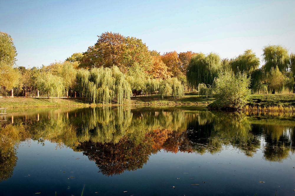 Photograph by Igor Ryzhov