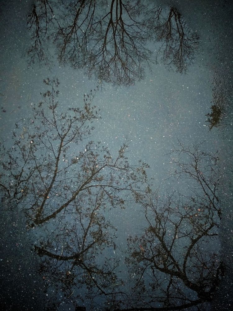 Photograph by Евгения Уманец