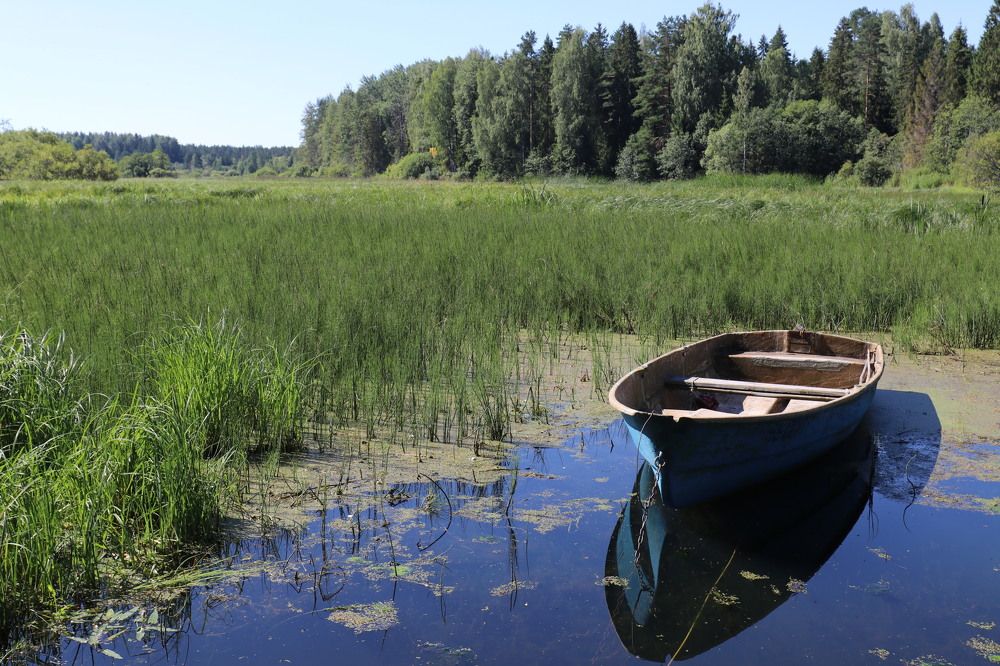 Фотография автора Татьяна Свистулина