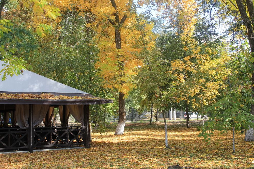 Photograph by Елена Кузнецова