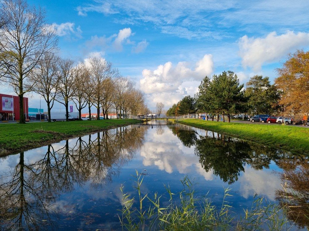 Фотография автора amal ahmed