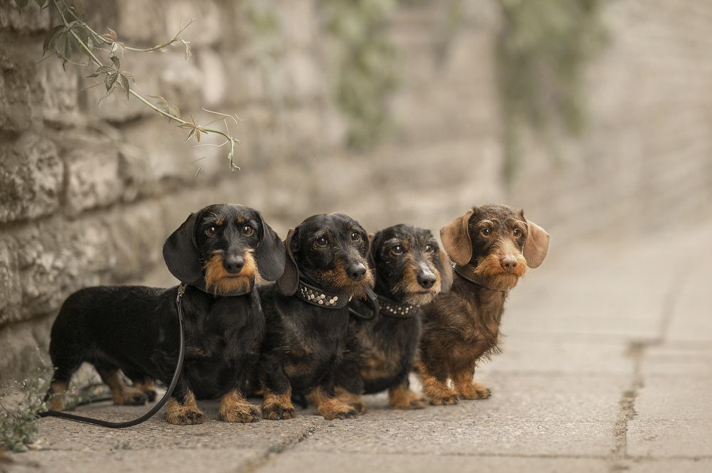 Photograph by Karina Saarestik