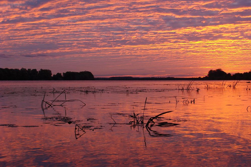 Photograph by Павел Колеснев
