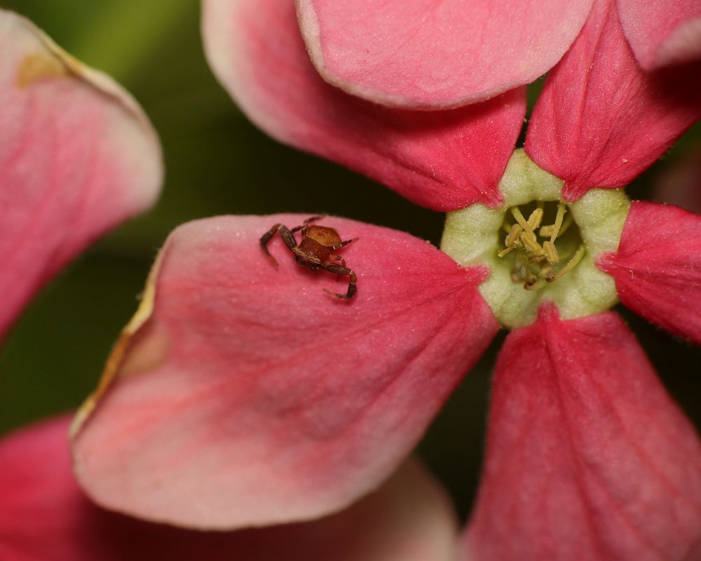 Photograph by Dantale Ajinkya