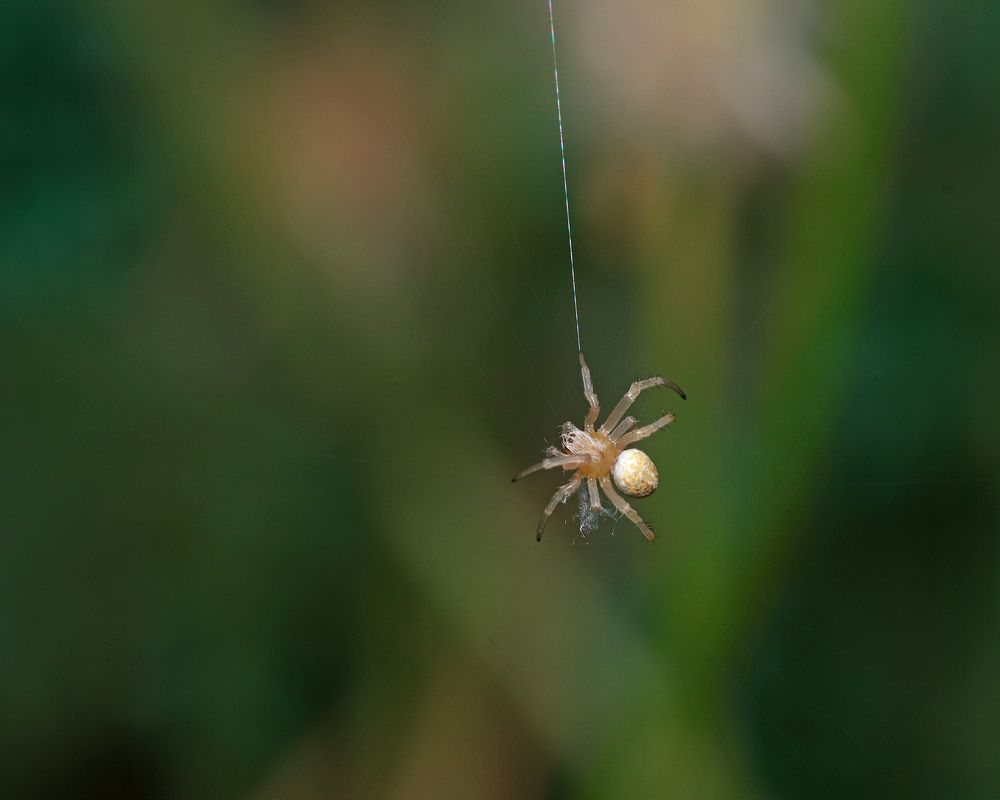 Photograph by Dantale Ajinkya