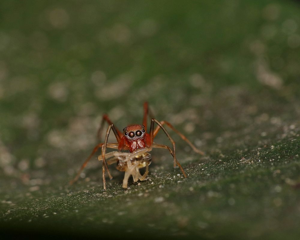 Photograph by Dantale Ajinkya