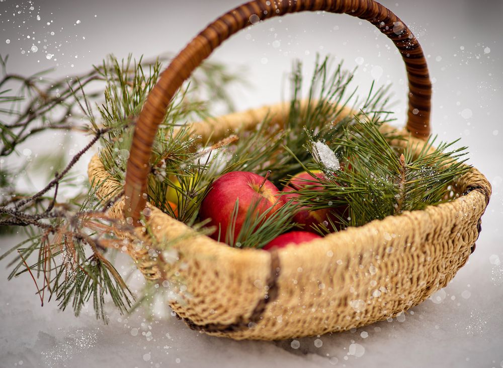 Photograph by Андриянова Юлия