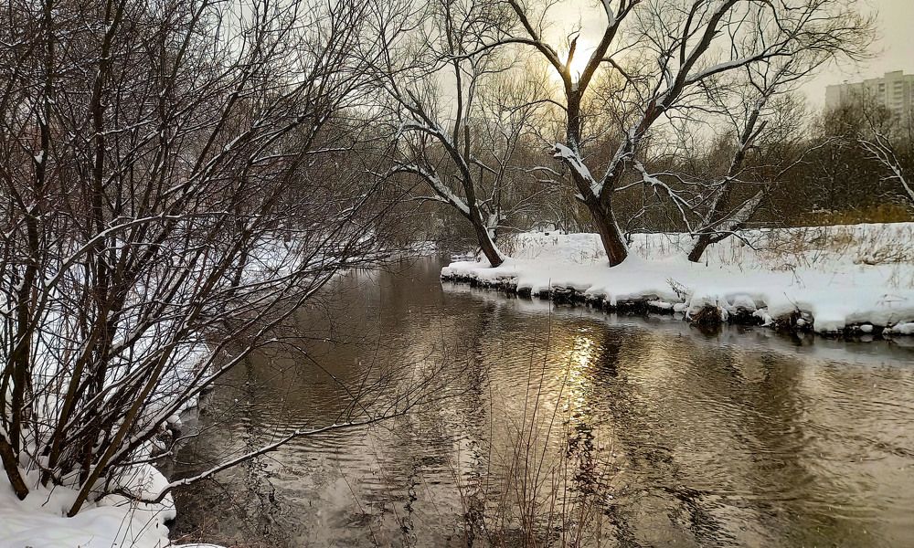 Photograph by Владимир Гречанинов