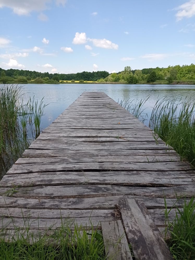 Photograph by Наталія Дронюк