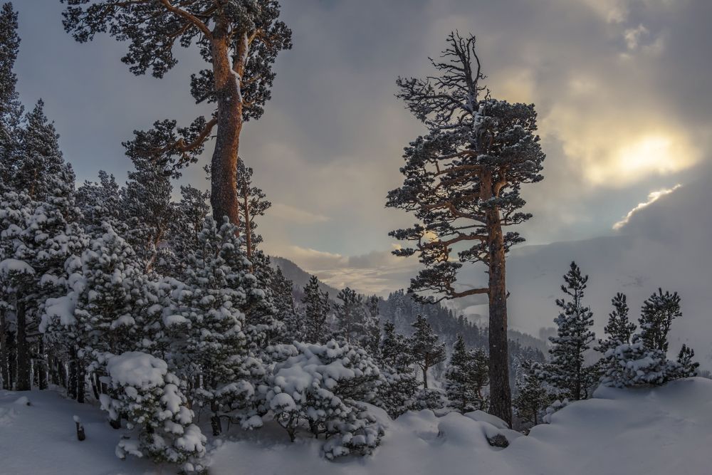 Photograph by Anatoly