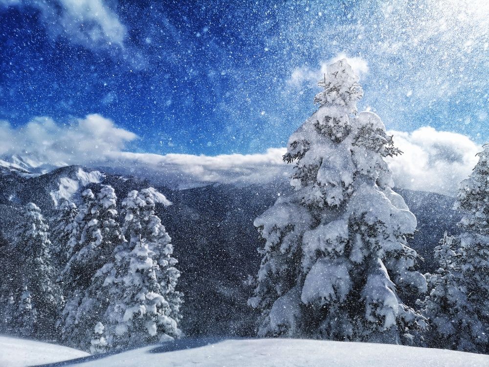 Photograph by Natali