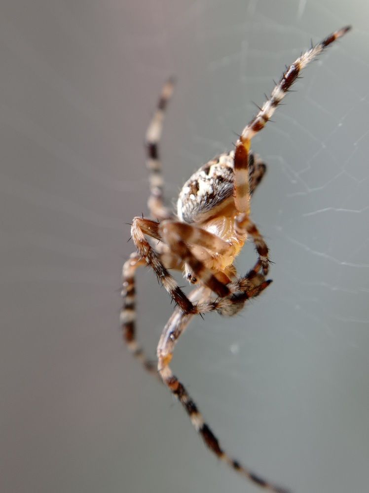 Photograph by Ксения Шпаковская