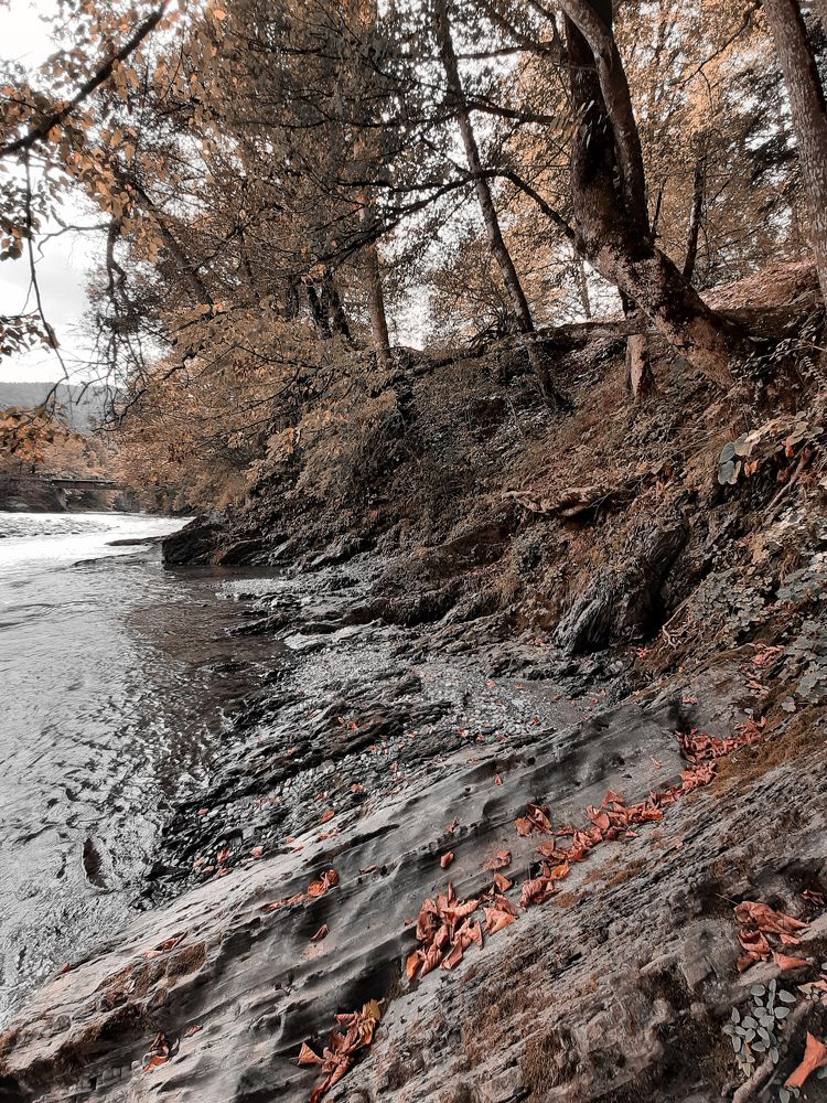 Photograph by Александр Лопатин