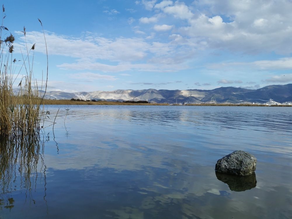 Photograph by Александр Кольца